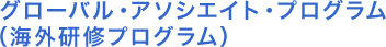 �O���[�o���E�A�\�V�G�C�g�E�v���O���� �i�C�O���C�v���O�����j