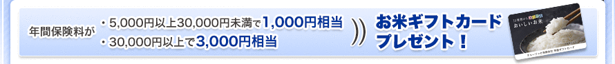�N�ԕی������A10,000�~�ȏ�30,000�~�����Ȃ�}���J�[�h1,000�~��