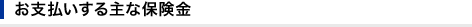 ���x���������ȕی���