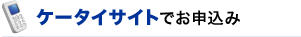 �P�[�^�C�T�C�g�ł��\����
