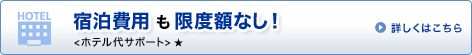 �h����p�����x�z�Ȃ��I<�z�e����T�|�[�g> �� �ڂ����͂�����