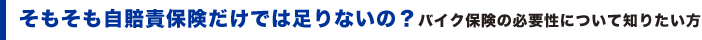 �������������ӕی������ł͑���Ȃ���? �o�C�N�ی��̕K�v���ɂ��Ēm�肽����