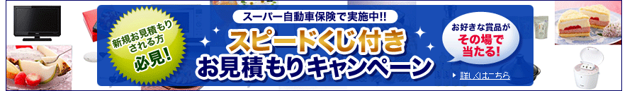 �V�K�����ς��肳�����K���I�X�[�p�[�����ԕی��Ŏ��{���I�I�X�s�[�h�����t�������ς���L�����y�[�����D���ȏܕi�����̏�œ�����I�ڂ����͂�����