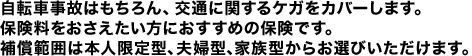 自転車事故はもちろん、交通に関するケガをカバーします。 保険料をおさえたい方におすすめの保険です。 補償範囲は本人限定型、夫婦型、家族型からお選びいただけます。
