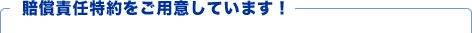 �I�v�V�����Ŕ����ӔC�����t�т���Ɓc