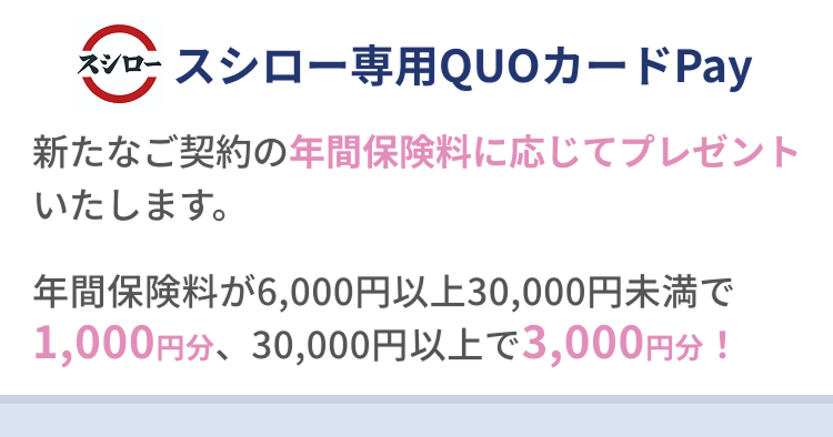 �X�V���[��pQUO�J�[�hPay�ɂ��� �V���Ȃ��_��̔N�ԕی����ɉ����ăv���[���g�����������B6,000�~�ȏ�30,000�~������1,100�~�����A30,000�~�ȏ��3,000�~�����I