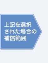 ��L��I�����ꂽ�ꍇ�̕⏞�͈�