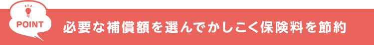POINT 必要な補償額を選んでかしこく保険料を節約