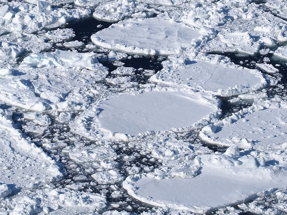 減少傾向にある知床の流氷。かつては氷山のように盛り上がっていたこともあったが、近年はそこまでの量が見られることはほとんどない。