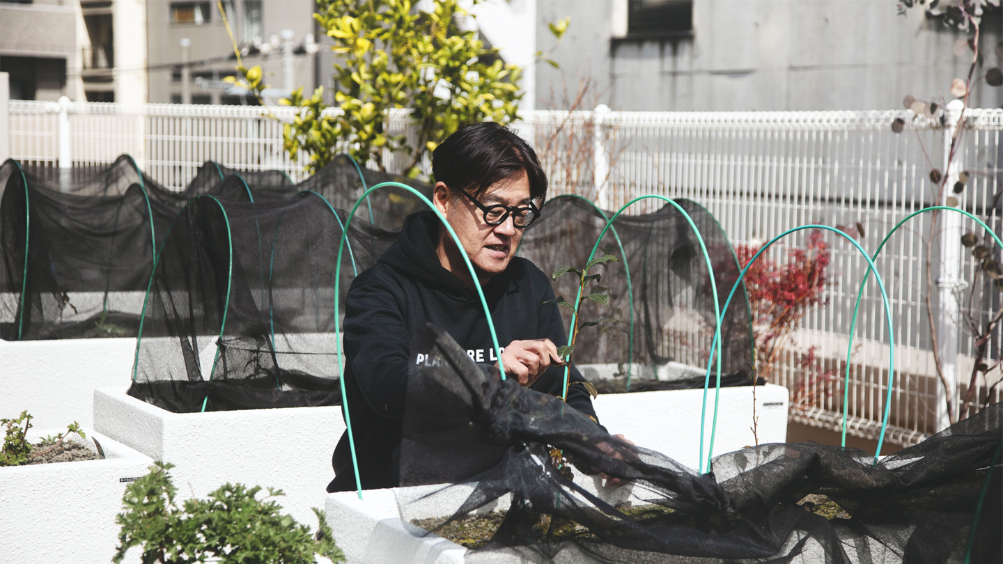 イベント時に開放される植物園の屋上。今は、明治時代に渋谷で栽培されていたという幻の銘茶「渋谷茶」の苗木を育てている。