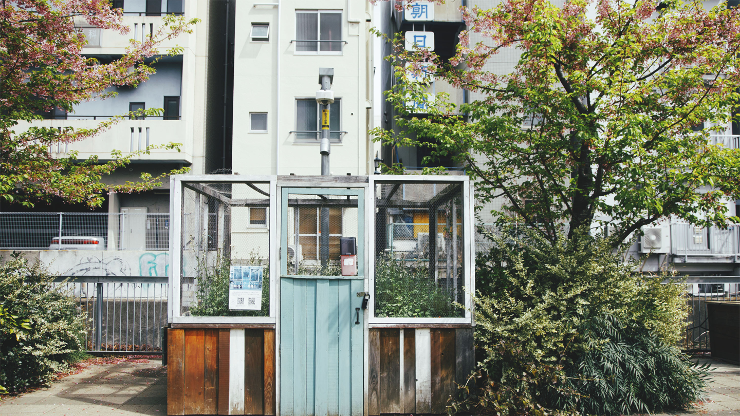 渋谷リバーストリートに設置したコンパクトな畑。底上げしてあるので作業がしやすい。