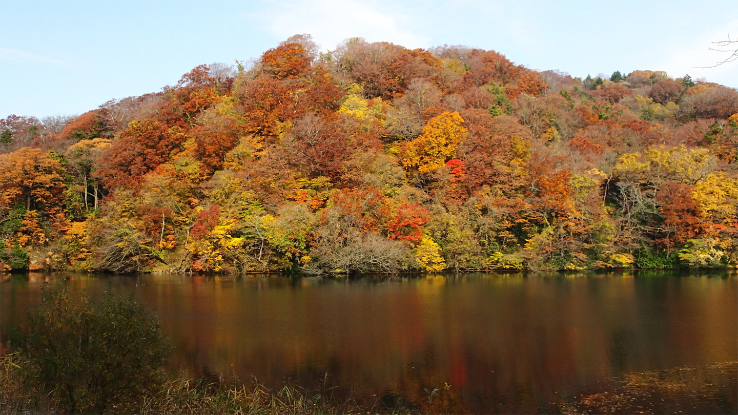 紅葉する十二湖の様子。10月下旬〜11月上旬には葉の色が緑色から赤色や黄色へと変化する。ブナ、イタヤカエデ、カツラなどが楽しめる。