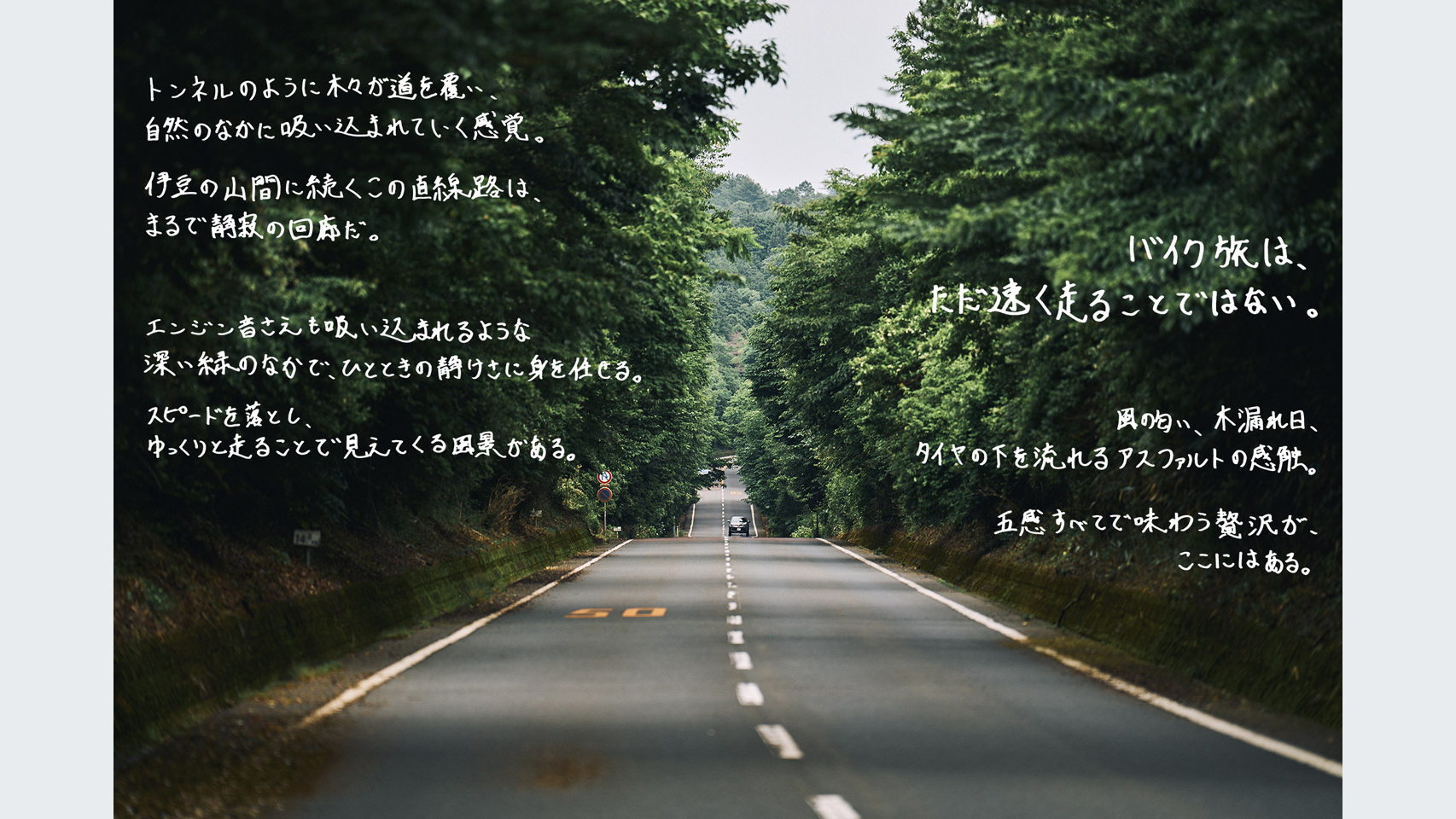 トンネルのように木々が道を覆い、自然のなかに吸い込まれていく感覚。伊豆の山間に続くこの直線路は、まるで静寂の回廊だ。エンジン音さえも吸い込まれるような深い緑のなかで、ひとときの静けさに身を任せる。スピードを落とし、ゆっくりと走ることで見えてくる風景がある。バイク旅は、ただ速く走ることではない。風の匂い、木漏れ日、タイヤの下を流れるアスファルトの感触。五感すべてで味わう贅沢が、ここにはある