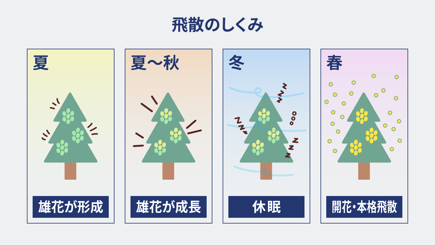 花粉を生み出す雄花は夏に形成されるため、この時期の気温が高いほど雄花の成長が促される
