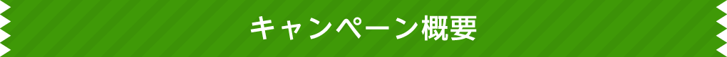 キャンペーン概要