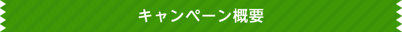 キャンペーン概要