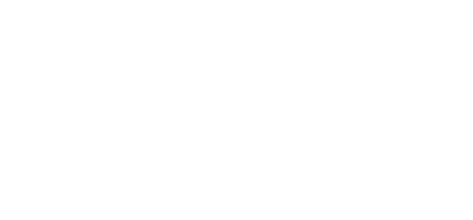 例えば、チューリッヒならこの保険料