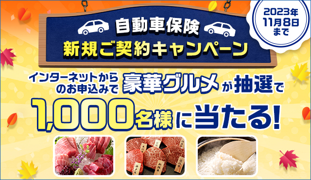 �L�����y�[���@�C���[�W